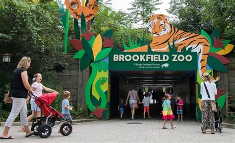south gate brookfield zoo